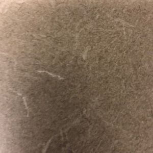 Meet your Posher, Connor